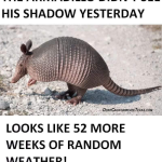 It’s Armadillo Day in Texas